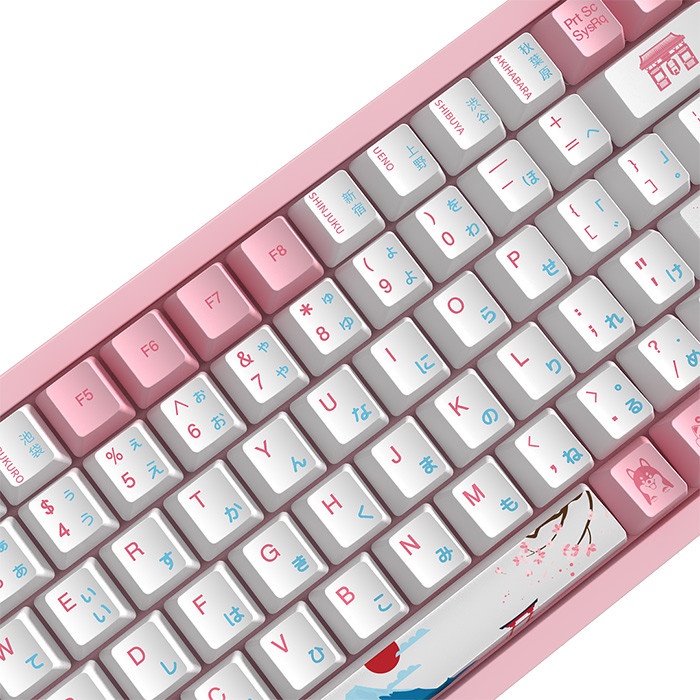 Bàn phím cơ AKKO 3108 World Tour Tokyo R2