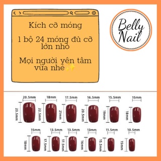 Bộ 24 móng giả kèm keo