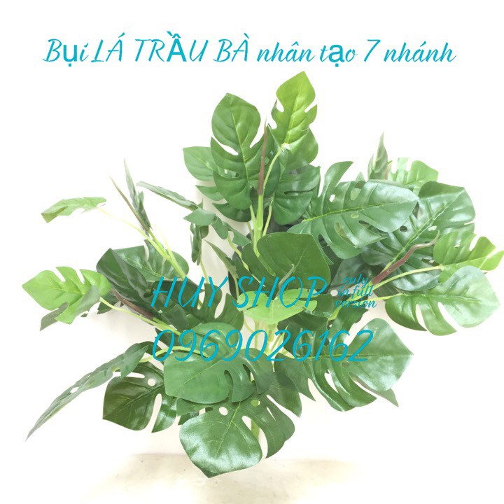 HOA CỎ NHÂN TẠO - BỤI LÁ TRẦU BÀ TRANG TRÍ BACKGROUND