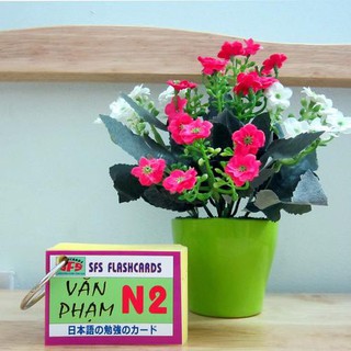 [chính hãng] Bộ Thẻ Học Tiếng Nhật Văn Phạm N2 – 1 xấp