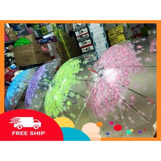 Combo 5 ô dù trong suốt 3D