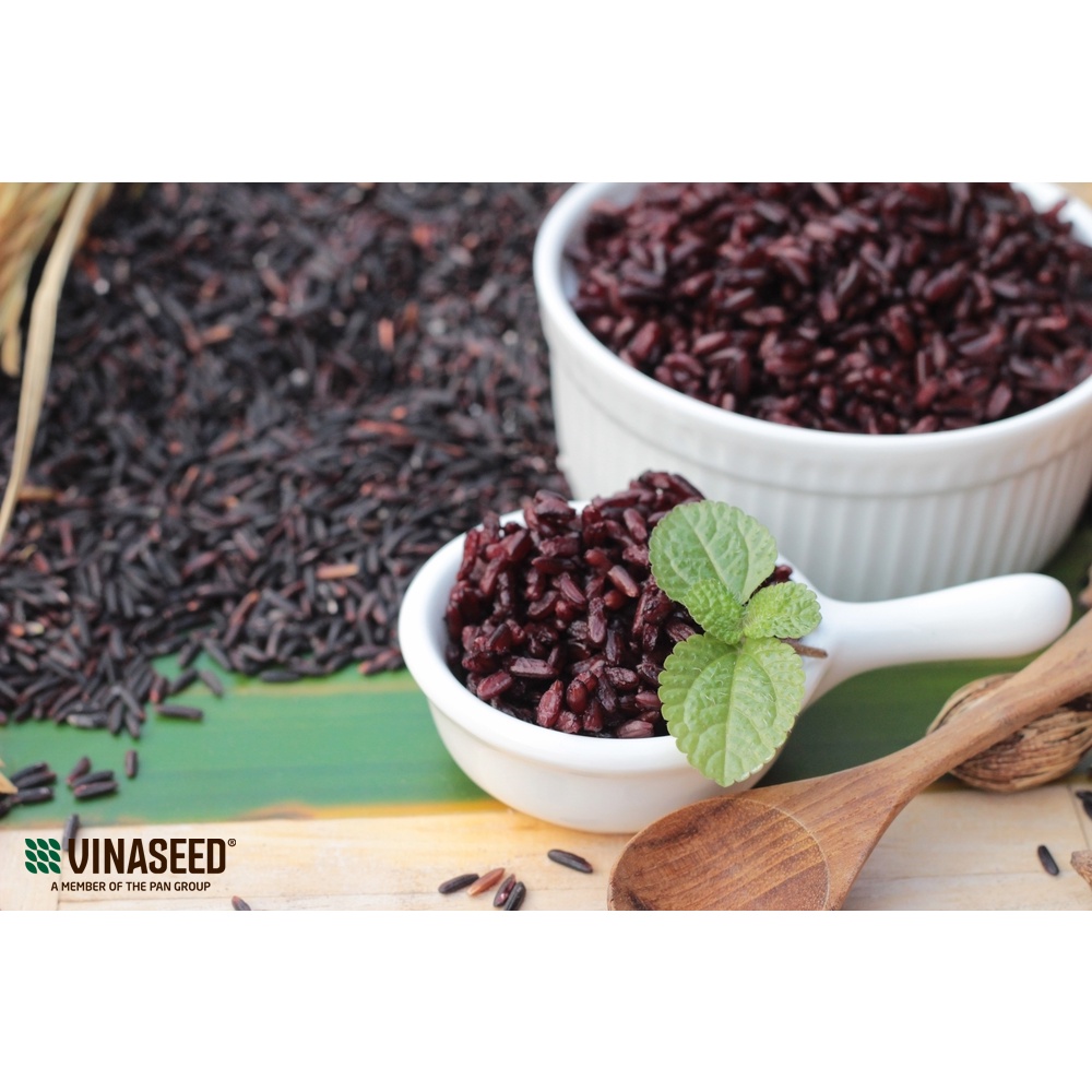 Gạo Lứt Đen Phúc Thọ Vinaseed Hút Chân Không 1Kg | BigBuy360 - bigbuy360.vn