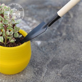 bộ dụng cụ chăm sóc cây cảnh mini