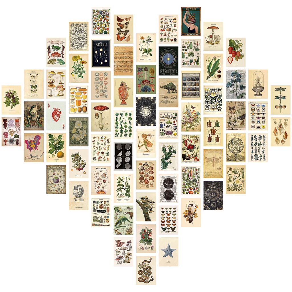 Bộ 50 Tấm Poster Bưu Thiếp Màu Sắc Ấm Áp