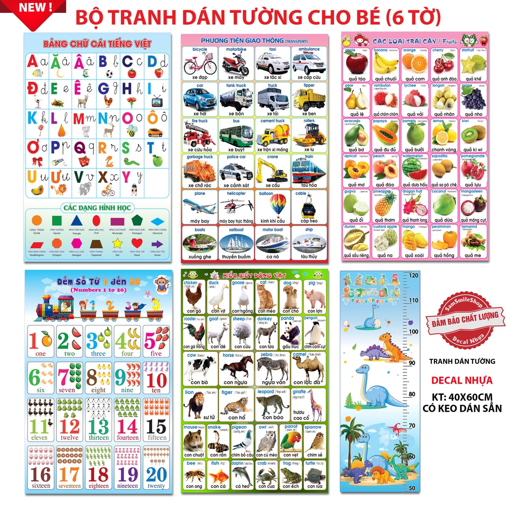 Decal nhựa dán tường cho bé học gồm chữ cái, số, trái cây, giao thông, con vật, thước