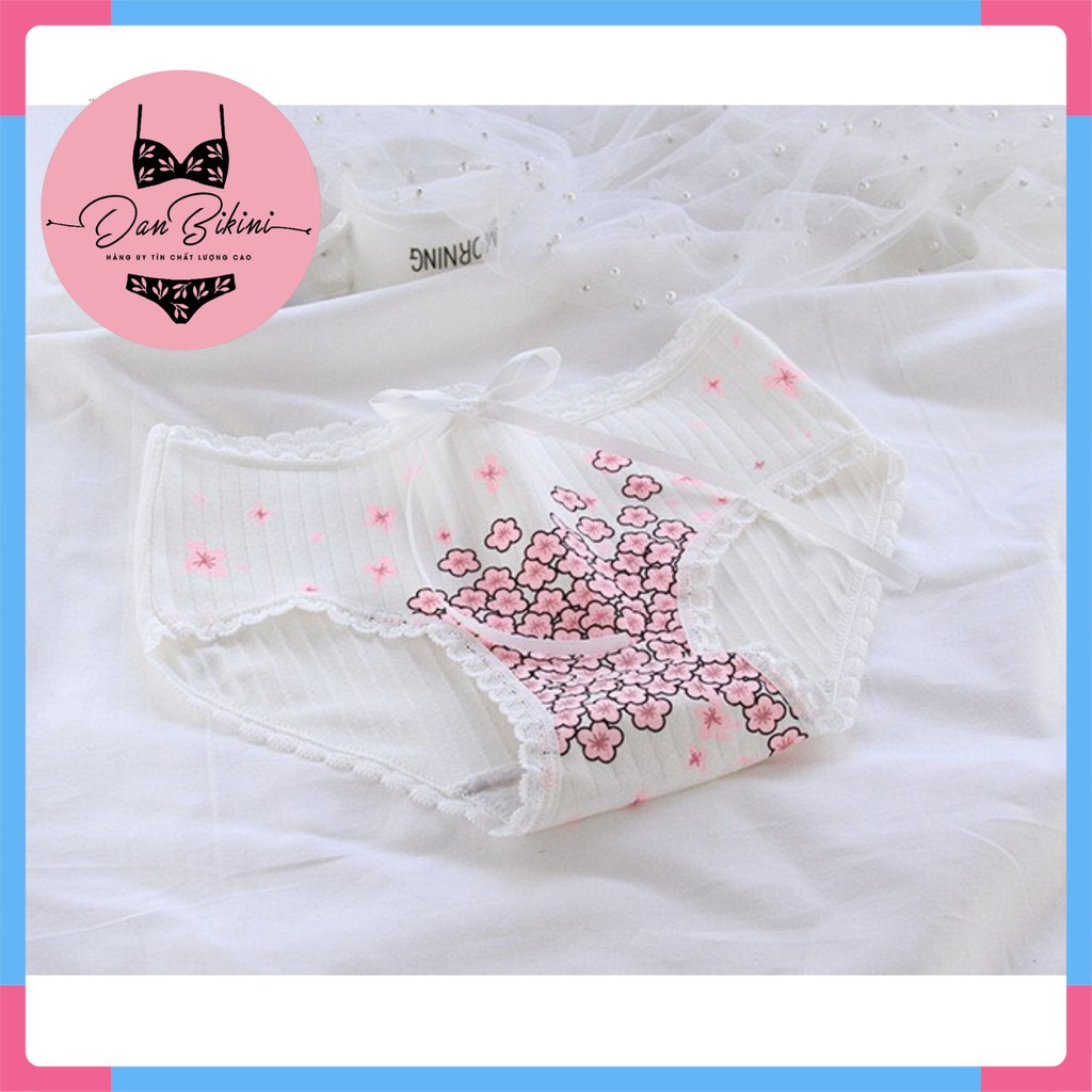 Quần Lót Nữ - Quần Lót Nữ Cotton gân tăm hoa anh đào dễ thương  điệu đà DAN STORE mẫu A004