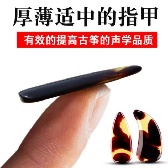 Móng đàn tranh guzheng trung quốc