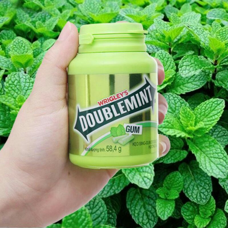 hủ kẹo gum Doublemint bạc hà