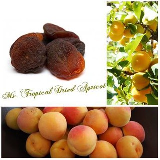MƠ KHÔ KHÔNG HẠT MS TROPICAL 300gr