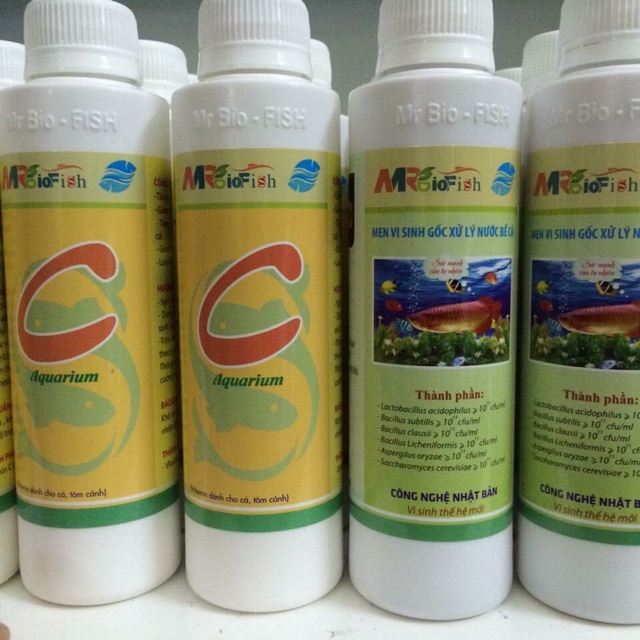 Men Vi Sinh Gốc Mr Bio Fish Xử Lý Nước Cho Bể Cá, Dạng Nước