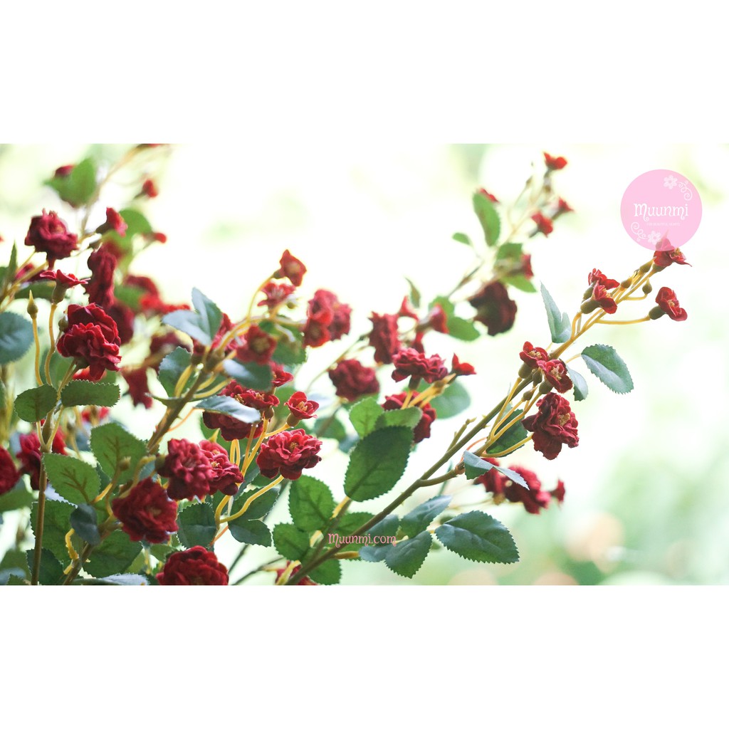 Hoa lụa 🌸  | Cành HOA NHÀI LEO màu ĐỎ mang sắc xuân đầy tinh tế và quyến rũ