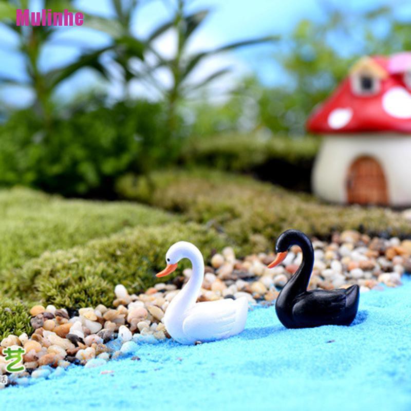Thiên Nga Đen / Trắng Mini Trang Trí Sân Vườn