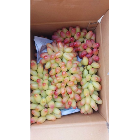 NHO HỒNG MÓNG TAY - ĐẶC SẢN NINH THUẬN - TÚI 1 KG