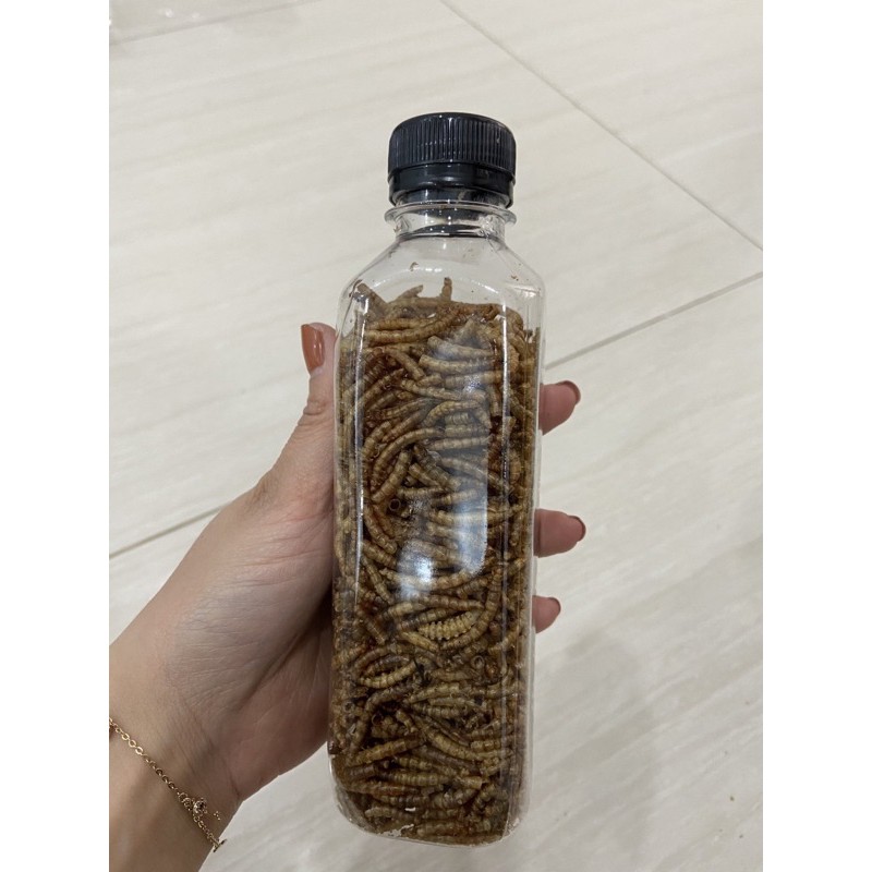 Sâu rang cho hamster, lọ 330ml siêu to.