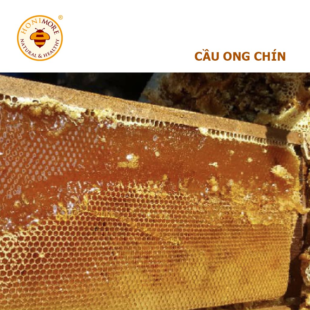 Mật ong rừng nguyên chất Honimore hoa Cao Nguyên 630g tặng hũ 360g tăng cường sức đề kháng, làm đẹp da, bồi bổ sức khỏe