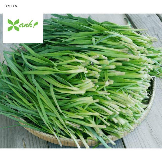 Hạt giống Hẹ Ta 5Gram khoảng 50 hạt