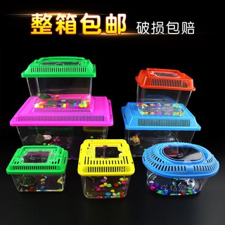 Bể rùa di động, cá vàng, hộp nuôi bò sát, bình đựng nhựa, cá, trong suốt, cốc chọi, chuột hamster