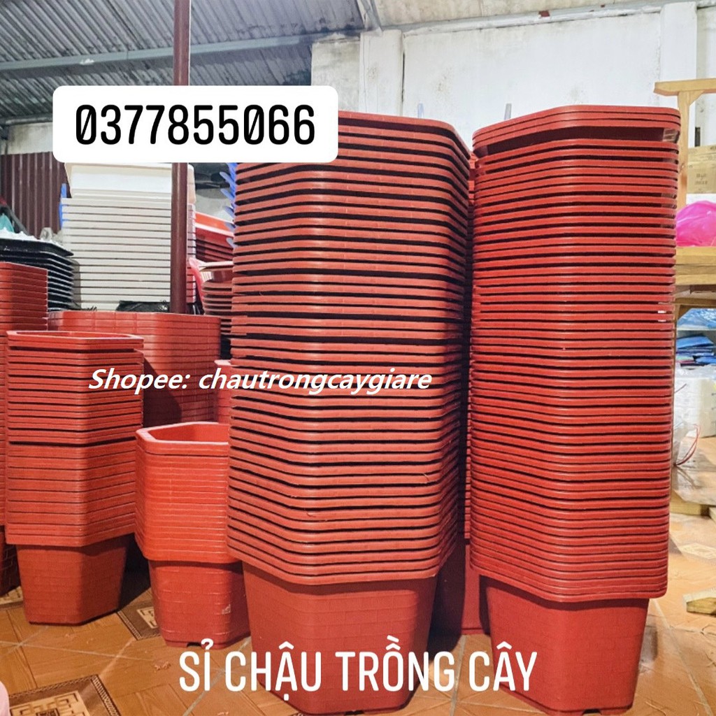 Chậu trồng hoa hồng cây cảnh trồng rau, Chậu nhựa trồng cây treo ban công trong nhà rộng 25-35cm giá rẻ hàng loại 1