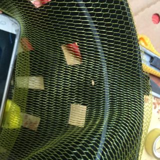 [FREESHIP TỪ 50K] COMBO 100G LƯỚI LÓT CHẬU