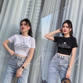 Áo croptop thêu hoa cúc