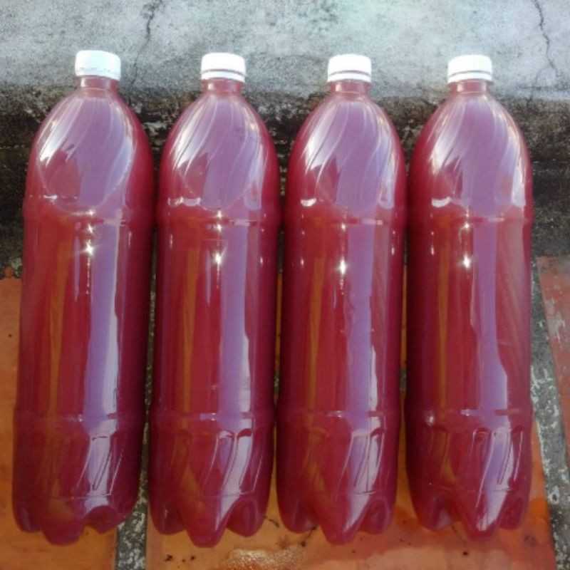 Vi sinh quang hợp PSB rẻ - Vi sinh tươi cho cây cá cảnh Trong nước cá khỏe dễ sinh sản