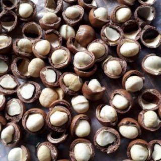 HẠT MẮCCA ĐAKALK (NHÀ TRỒNG) 500g