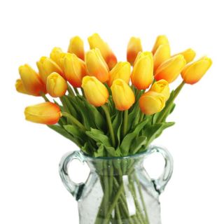 Decor nhà cửa chụp ảnh Hoa tulip cao su