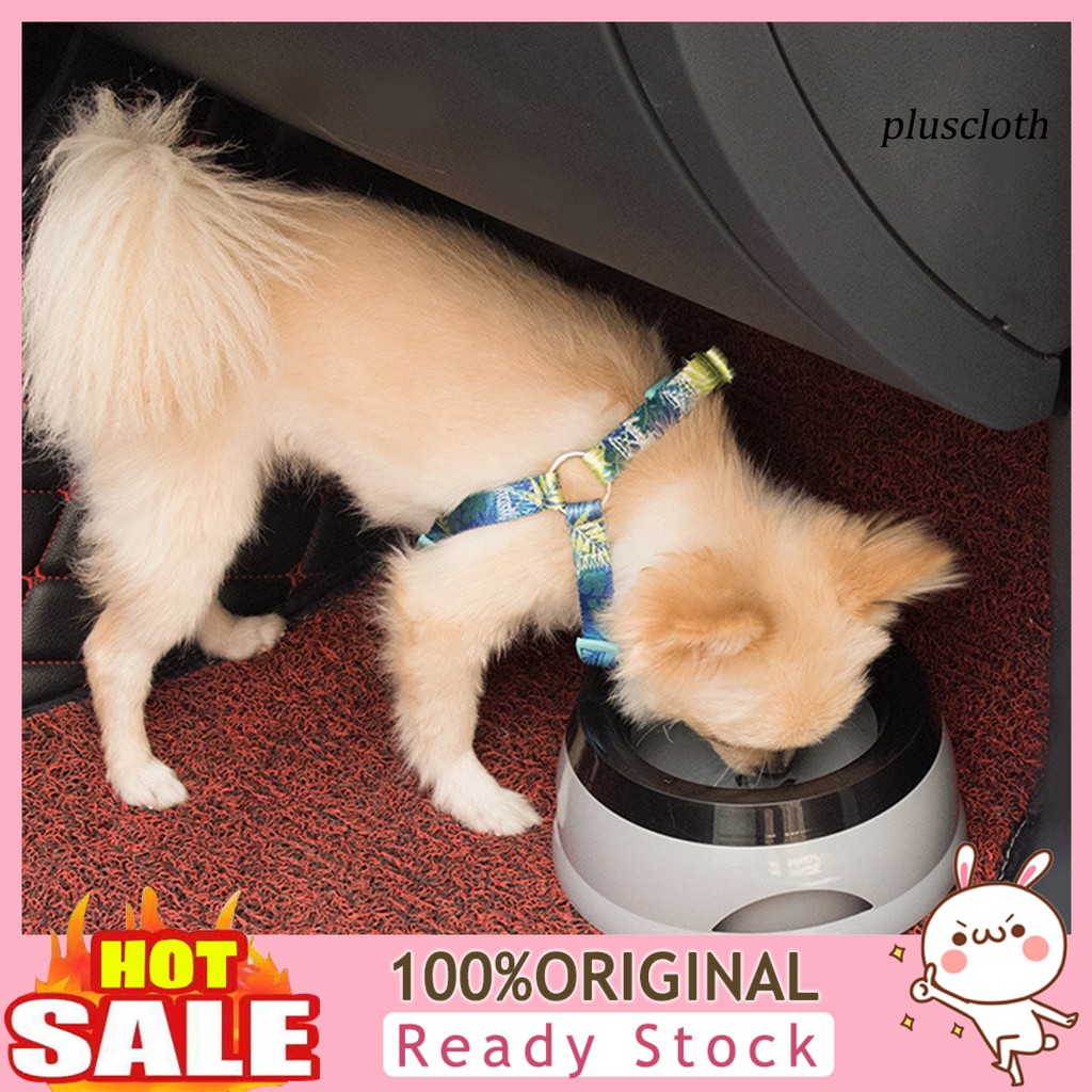 Tô Cho Thú Cưng Uống Nước Chống Tràn 750ml