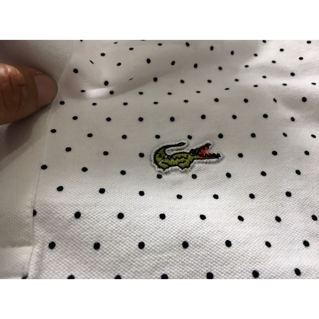 [ảnh thật] ÁO THUN NAM CÁ SẤU CHẤM BI- XH008 | BigBuy360 - bigbuy360.vn