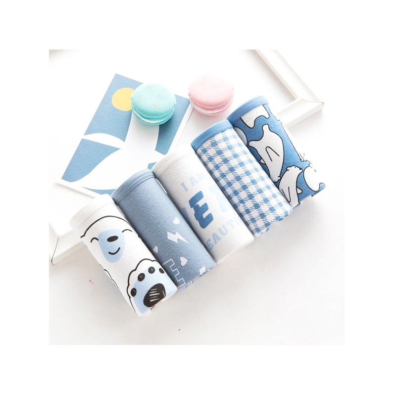 Set 5 Quần lót thun cotton hình thỏ nhiều màu 30kg đến 50kg cho bé gái - QL0119