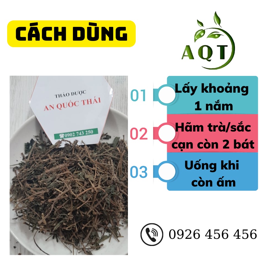 Cây Thuốc Dòi Khô 500g  Nấu Nước Mát Thanh Nhiệt, Trừ Ho, Giảm Đau Họng