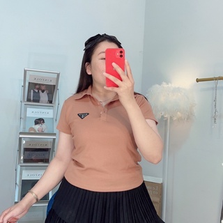 áo thun nữ cổ bẻ Bigsize mã a11