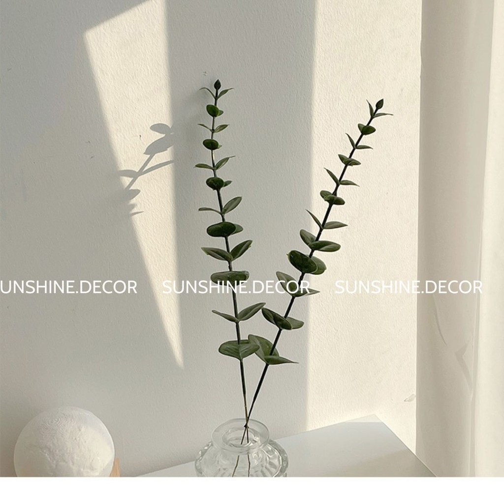 Lá bạch đàn lá khuynh diệp Eucalyptus decor trang trí chụp ảnh sản phẩm 38 cm