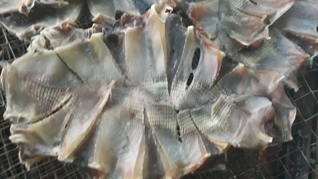 Khô cá ghimPhan Thiết nhà làm loại ngon 500g - Shop Khô Phan Thiết