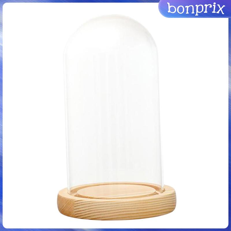Đèn LED Dạng Vòm Bằng Kính Với Đế Gỗ Cho Trưng Bày Tại Nhà/Tiệc Cưới/Làm Quà Tặng