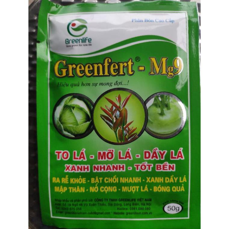 Gói Phân Bón Lá Mg9 50Gr. To Lá Mỡ Lá Dầy Lá. Xanh Nhanh Tốt Bền Nguyên Liệu Nhập Khẩu Giá Tốt