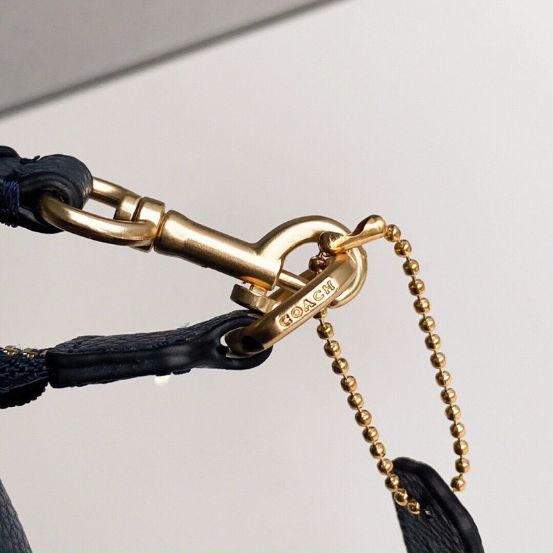 TÚI COACH NOLITA 19 C4233