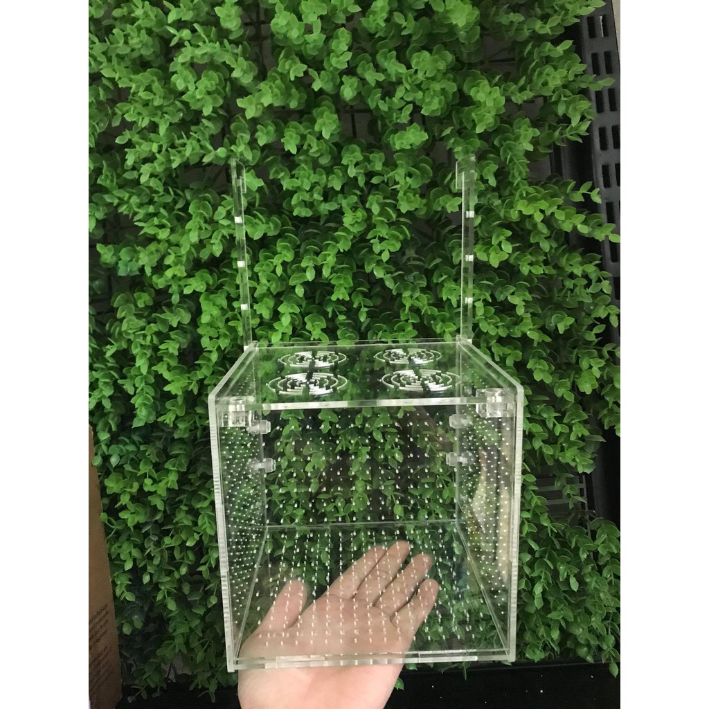 Lồng dưỡng tép, cá/ Lồng tách 15x15x15