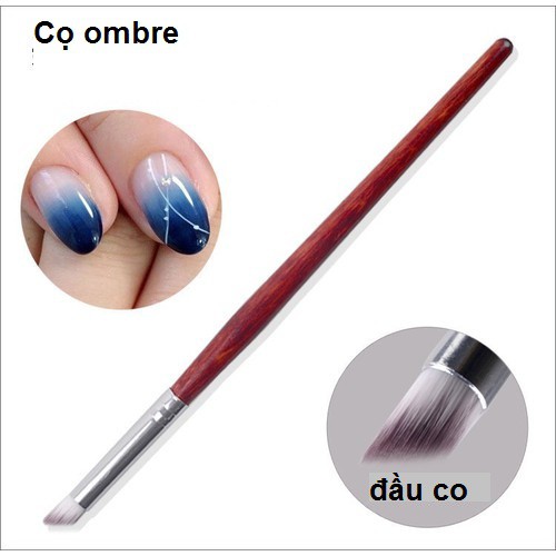 Cọ Ombre Cán Gỗ