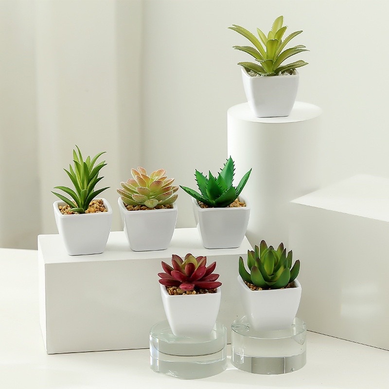 Chậu cây giả để bàn-Chậu sen đá ,Xương rồng -nhiều mẫu,trang trí decor siêu xinh