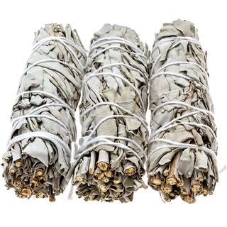 [White Sage] Xô Thơm Trắng