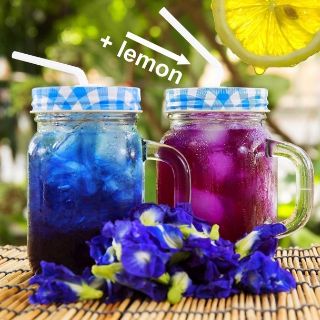 Trà Hoa đậu biếc sấy khô Đà Lạt 100g tặng trà bát bảo