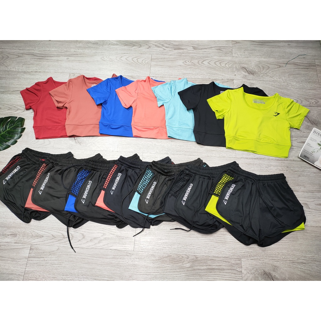 Đồ tập gym nữ, set bộ đùi thể thao áo crop quần đùi 2 lớp Bin Sports BN074