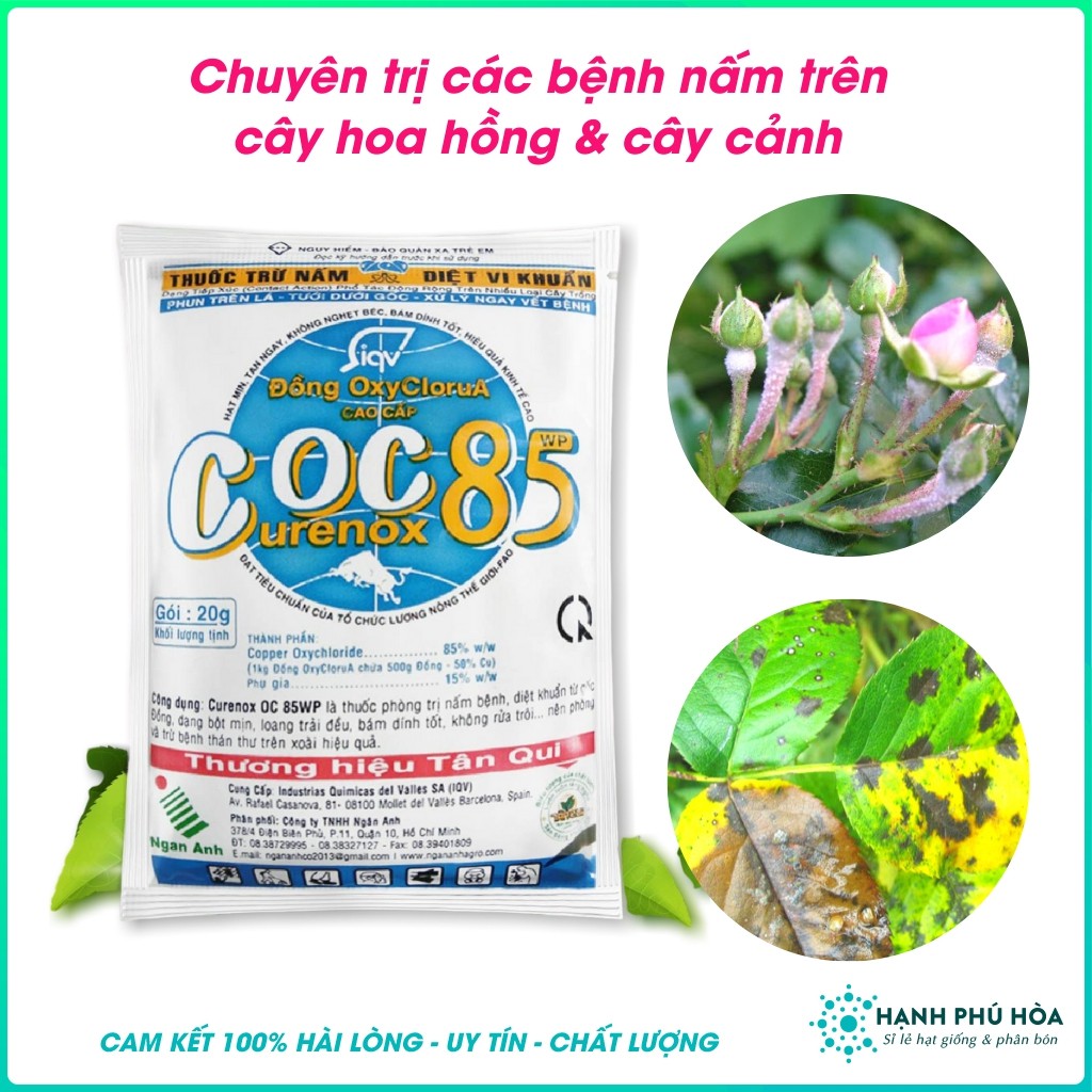 COC 85 (CURENOX OC) 20g/Gói- Thuốc Phòng Trừ Nấm Bệnh Cho Hoa Hồng, Bệnh Thán Thư, Sương Mai, Diệt Vi Khuẩn, Ít Độc Hại