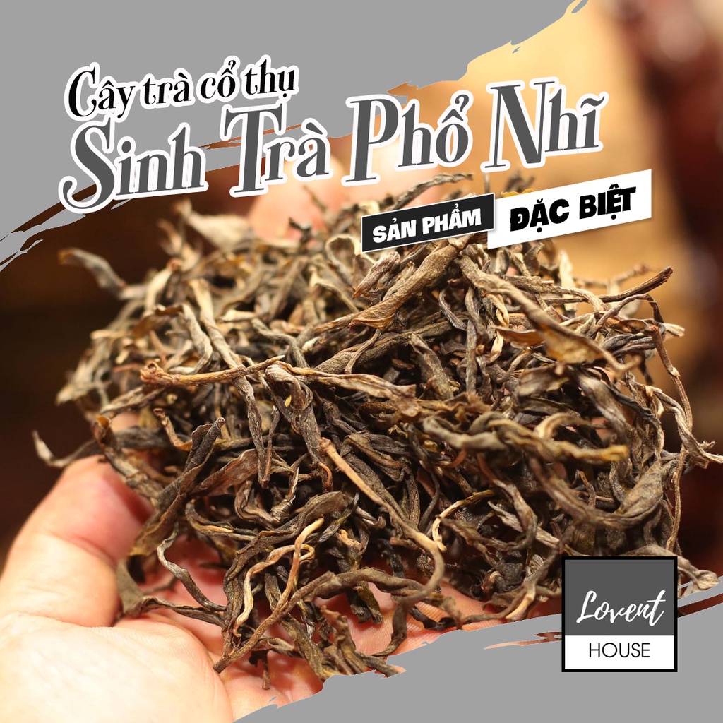 100g SINH TRÀ PHỔ NHĨ CỔ THỤ - trà sống Phổ Nhĩ Lá rời - PUERH -  [Lovent House]