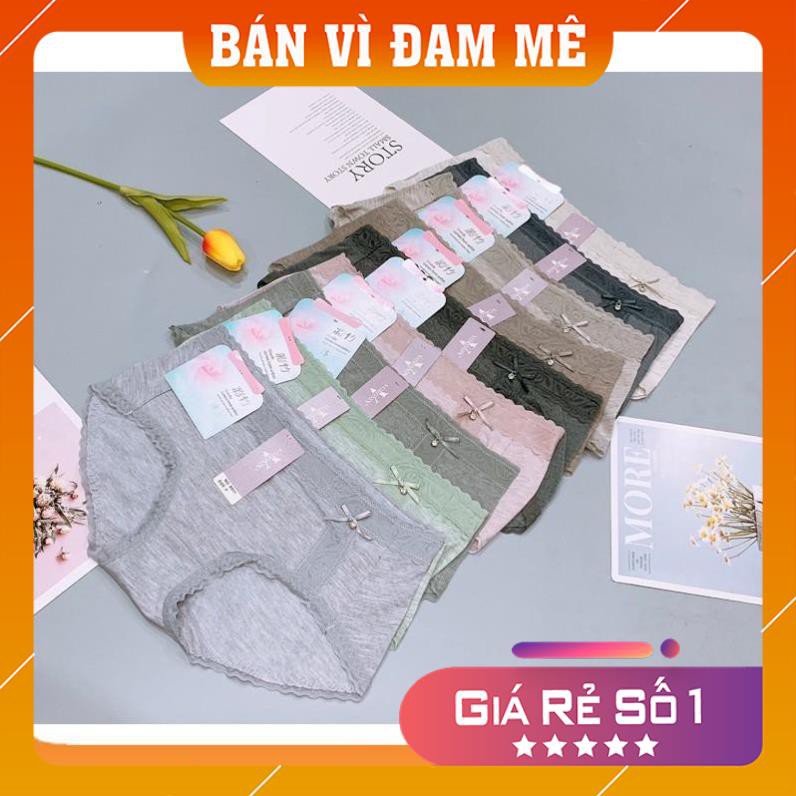 [Đồ lót giá gốc] Set 10 quần lót nữ viền cạp ren hoa, chip Q2252 chuyên áo lót | BigBuy360 - bigbuy360.vn