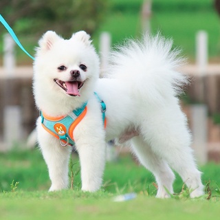 Bộ dây dắt thú cưng đi dạo phản quang an toàn tiện dụng