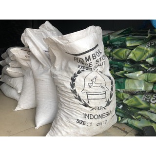 ĐÁ BỌT PUMICE INDONESIA - TRỒNG SEN ĐÁ