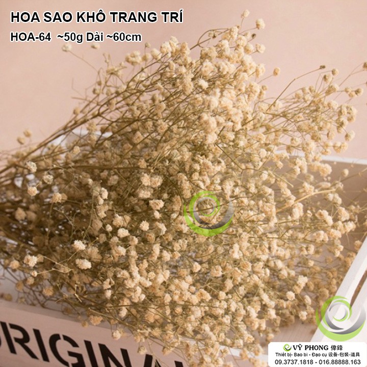 HOA SAO KHÔ BÓ 50G TRANG TRÍ NHÀ CỬA ĐẠO CỤ CHỤP ẢNH SẢN PHẨM INS HOA-64