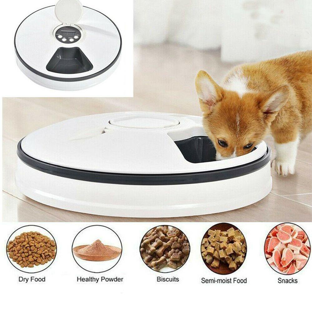 Đĩa Tròn Đựng Thức Ăn Thời Gian 24 Giờ Cho Thú Cưng LAYOR1